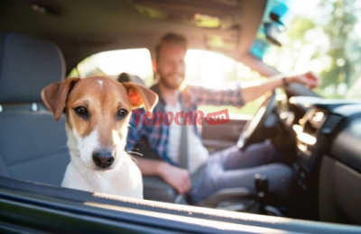 Những hành động tài xế cần tránh khi ngồi trên ô tô